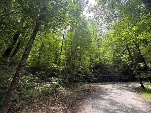 000 Summit Road #343, Tryon, NC 28782