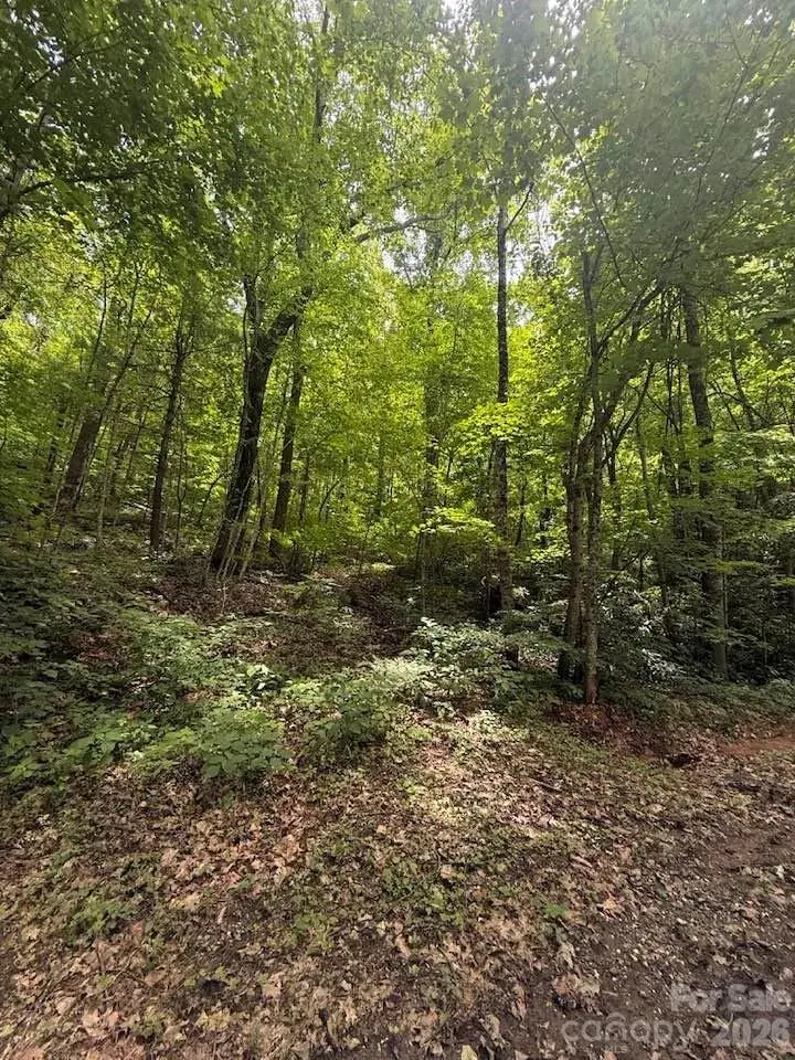 000 Summit Road #343, Tryon, NC 28782 - #3