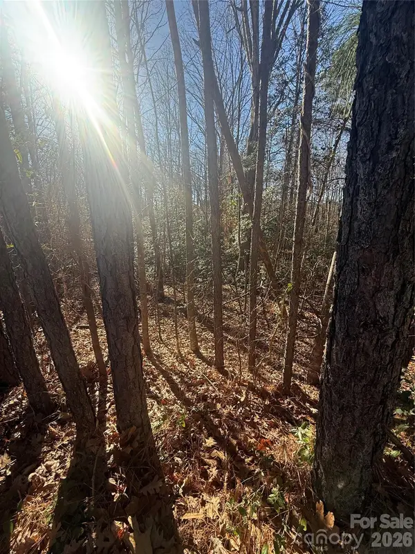 0 Liledoun Road #14, Taylorsville, NC 28681