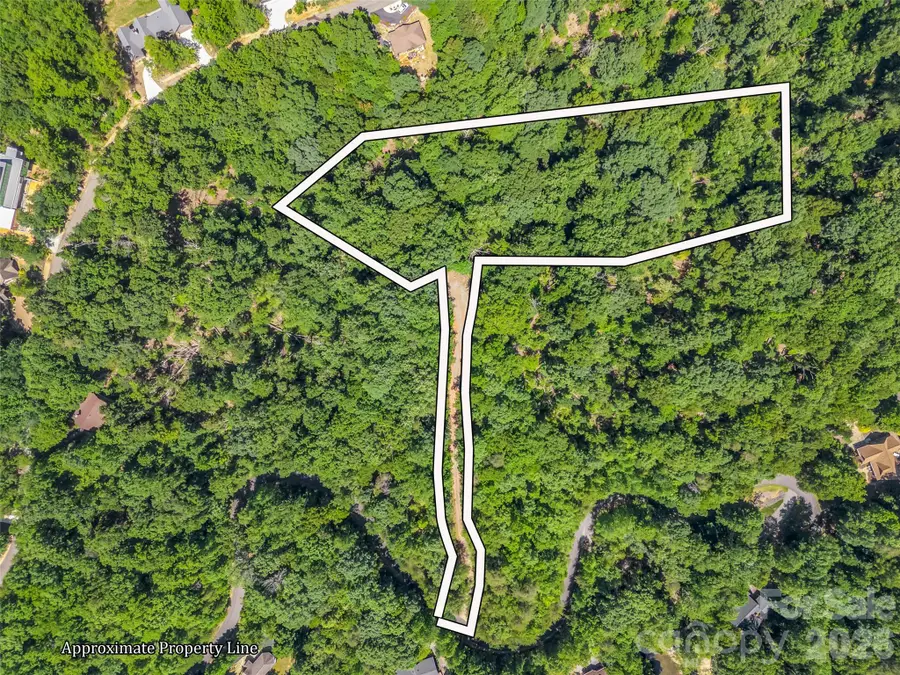 0 Hawks Nest Trail #31, Lake Lure, NC 28746 - #3