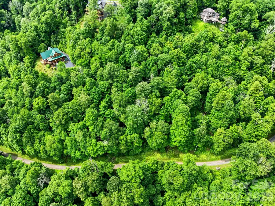 17 Mountain Gait Drive #17, Mars Hill, NC 28754 - #3