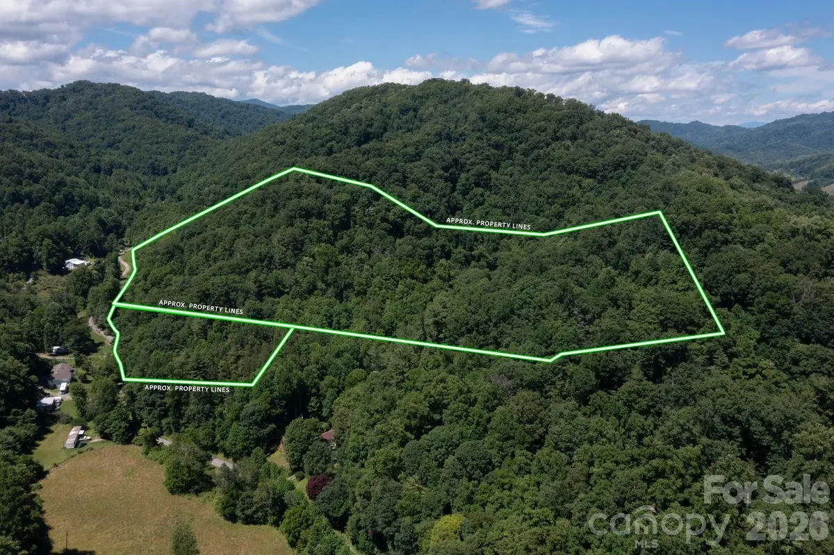 TBD Wooded Mountain Trail #Tracts 1 & 2, Mars Hill, NC 28754 - #1