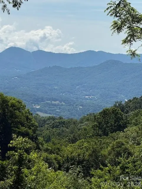 #38 Sleepy Hollow Drive, Waynesville, NC 28785 - #2
