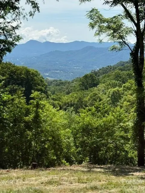 #38 Sleepy Hollow Drive, Waynesville, NC 28785 - #3