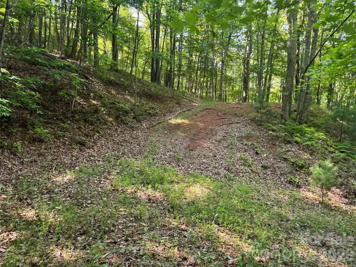 856 Stoney Stream Lane #146 & 147, Arden, NC 28704 - #1
