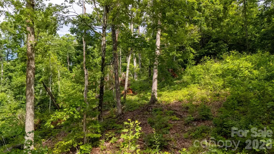 Lot 146 Shire Lane #146, Morgan, NC 28139 - #3