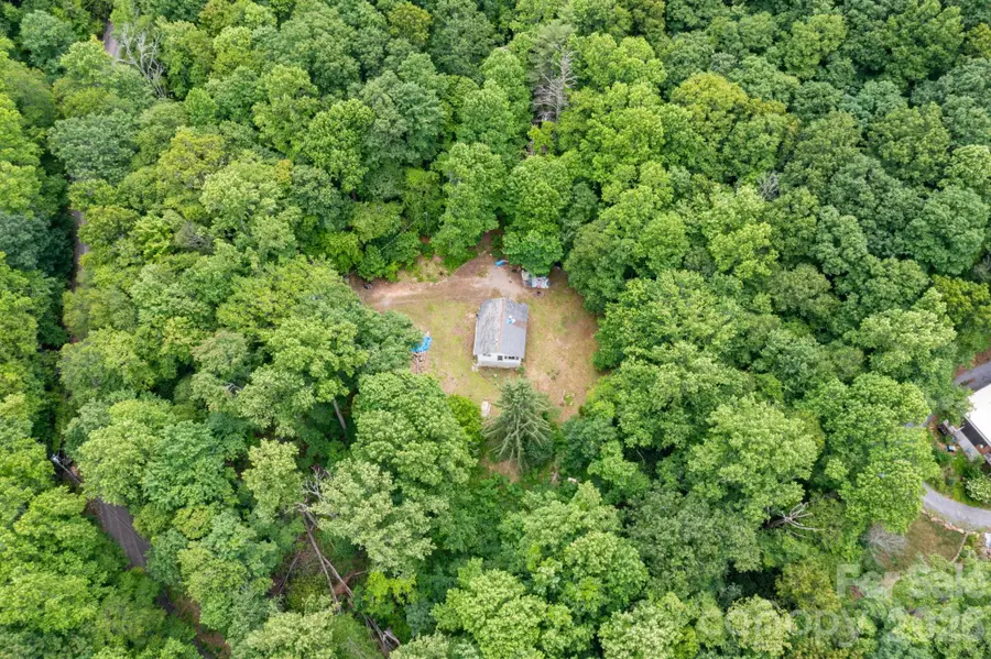 191 Walkertown Road, Black Mountain, NC 28711 - #2