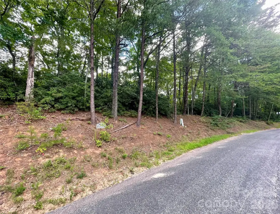282 Quail Ridge Road, Lake Lure, NC 28746 - #2