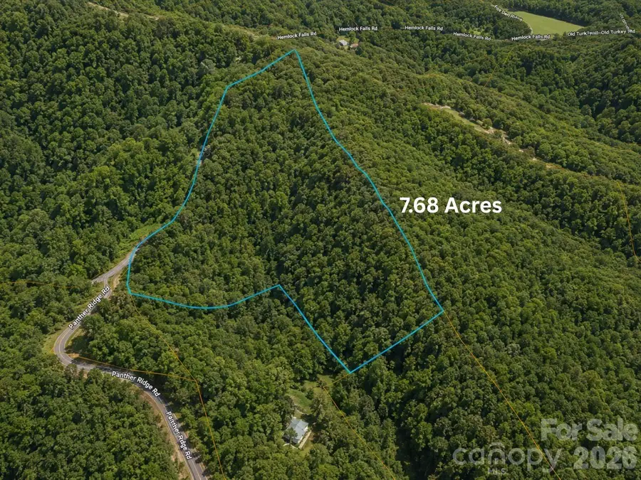 01 Panther Ridge Lane, Franklin, NC 28734 - #3