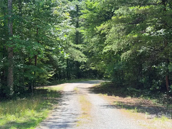 00 Grassy Knob Road #5, Mill Spring, NC 28756