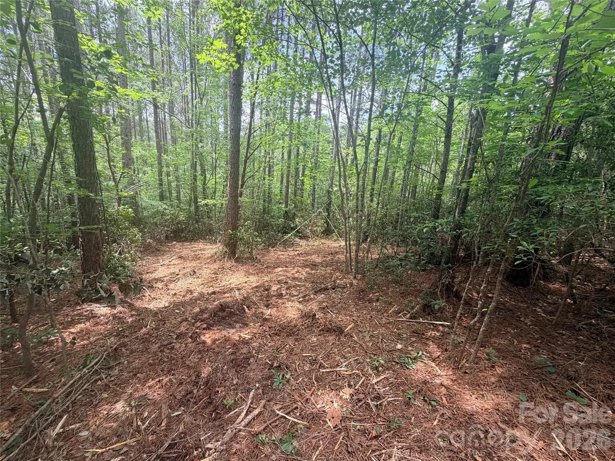 0 Gold Creek Point #4, Union Mills, NC 28167 - #1