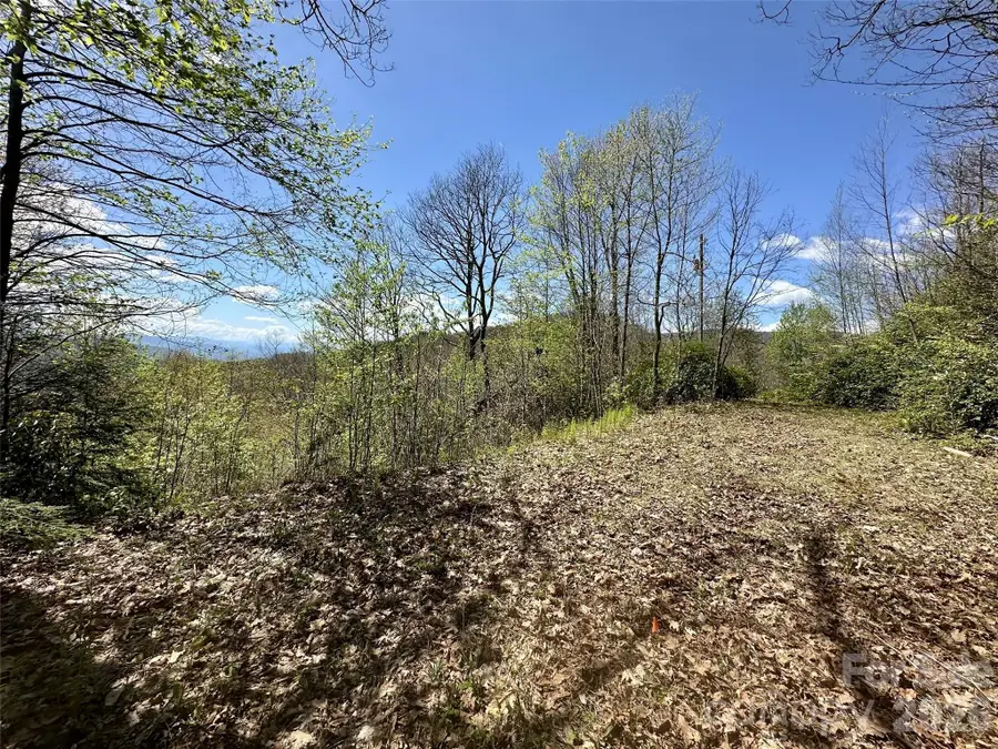 00 Aquina Mountain Mountain #H, Maggie Valley, NC 28751 - #2