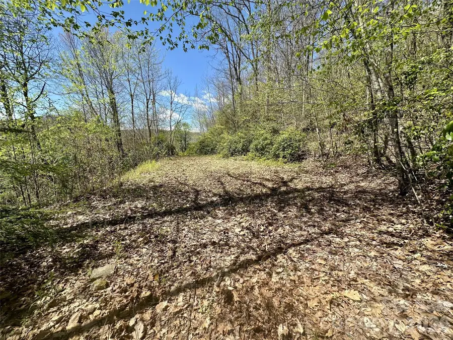 00 Aquina Mountain Mountain #H, Maggie Valley, NC 28751 - #3