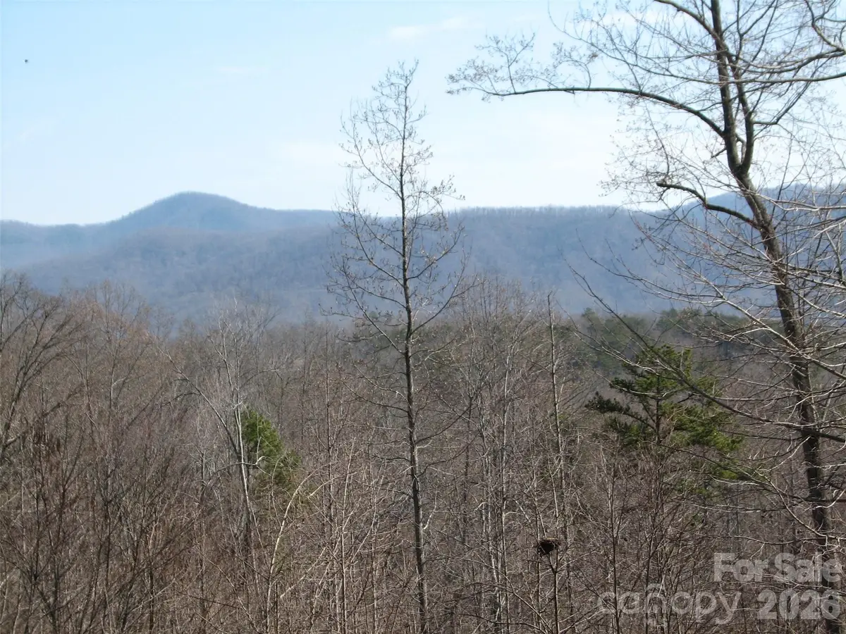 000 Meditation Ridge Ridge #21,22, Nebo, NC 28761 - #1