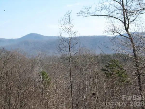 000 Meditation Ridge Ridge #21,22, Nebo, NC 28761