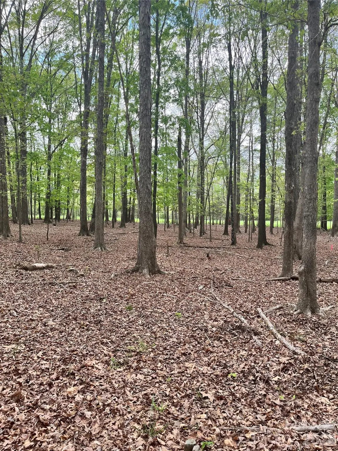 001 Wolf Pond Road, Monroe, NC 28112 - #1