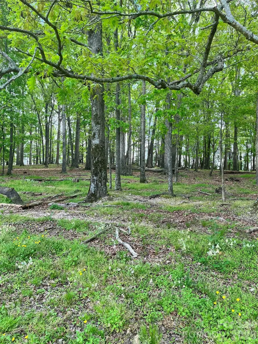 001 Wolf Pond Road, Monroe, NC 28112 - #2