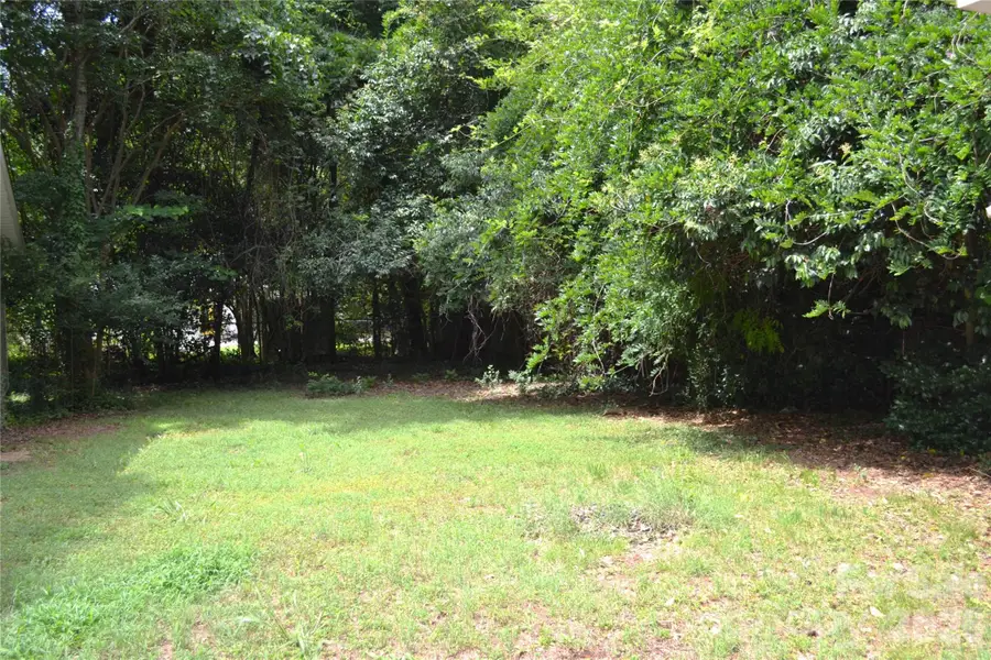 827 Mohigan Street, Charlotte, NC 28205 - #2