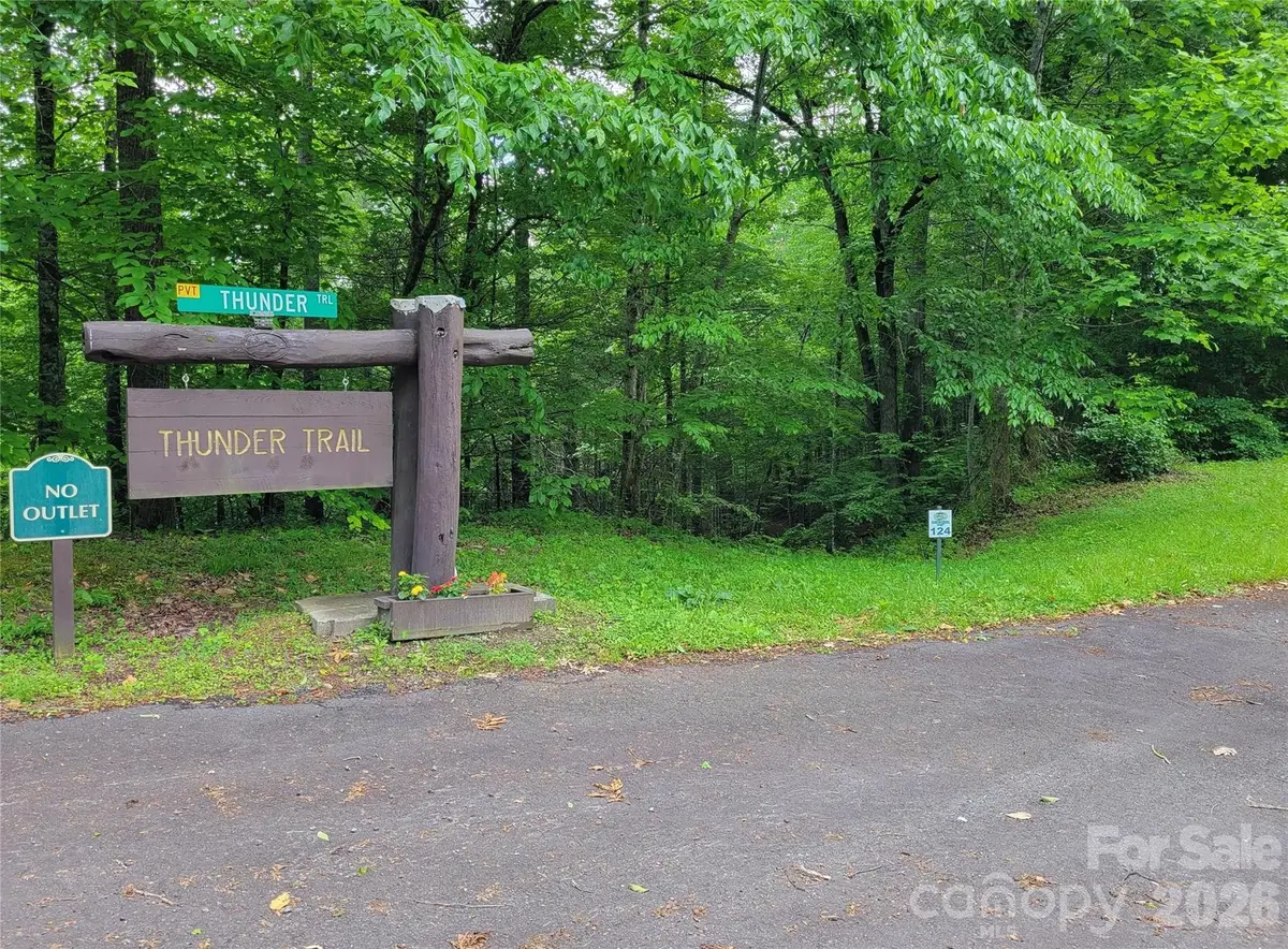 TBD Bear River Lodge Trail #124, Marshall, NC 28753 - #1
