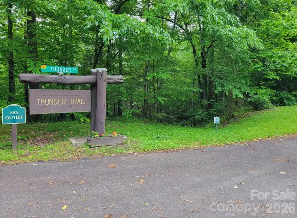 TBD Bear River Lodge Trail #124, Marshall, NC 28753