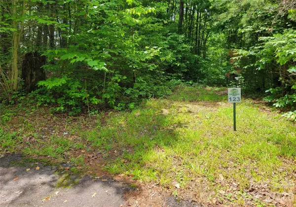 TBD Bear River Lodge Trail #123 &124, Marshall, NC 28753