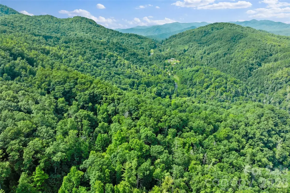 TBD Bear River Lodge Trail #132, Marshall, NC 28753 - #1