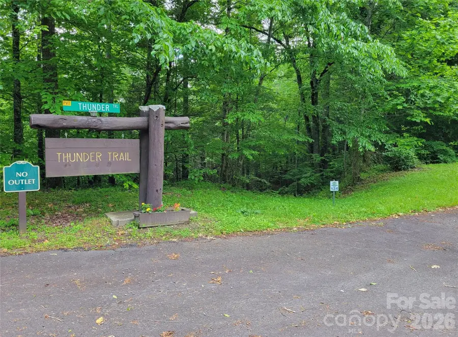 TBD Bear River Lodge Trail #132, Marshall, NC 28753 - #2