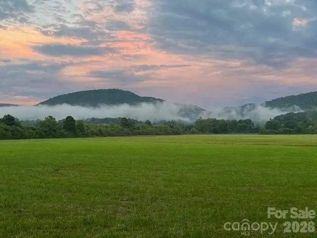 Mini Farm 3 TBD Coventry Drive, Brevard, NC 28712 - #3