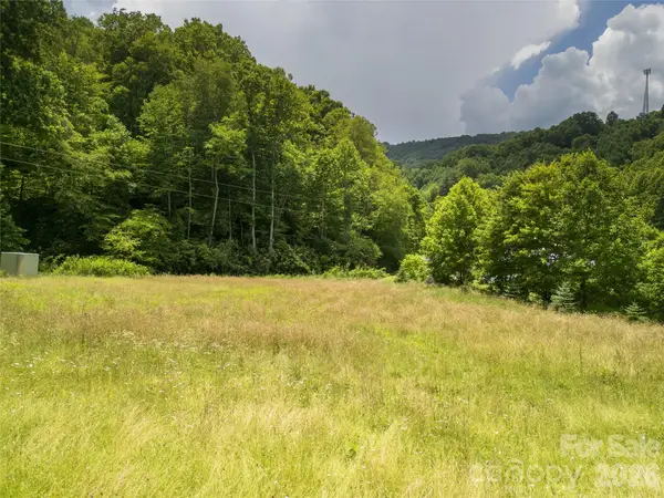 168 Smith Creek Road, Mars Hill, NC 28754