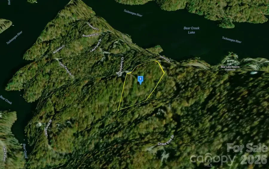 243 Cross Vine Drive, Tuckasegee, NC 28783 - #2