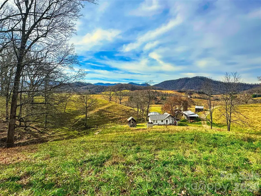 99999 Rabbit Ham Road, Leicester, NC 28748 - #3