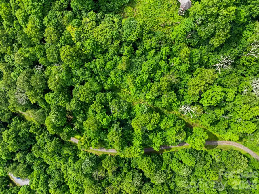 0 Mountain Gait Drive #Lots 16 & 17, Mars Hill, NC 28754 - #2