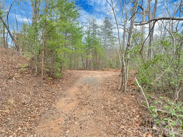 TBD Deep Woods Lane #102, Saluda, NC 28773