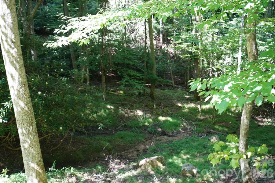 109 Laurel Lane, Beech Mountain, NC 28604 - #3