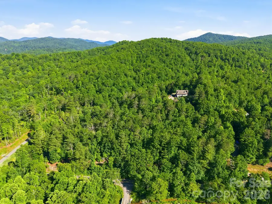 9999 Old Fort Road, Black Mountain, NC 28711 - #3