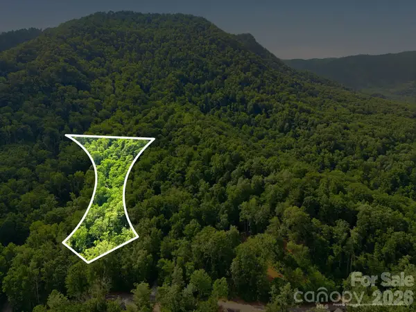 0000 Rocky Branch Trail, Marion, NC 28752