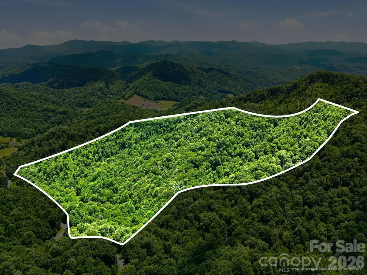 TBD Windy Gap Road #Tract B, Mars Hill, NC 28754 - #1