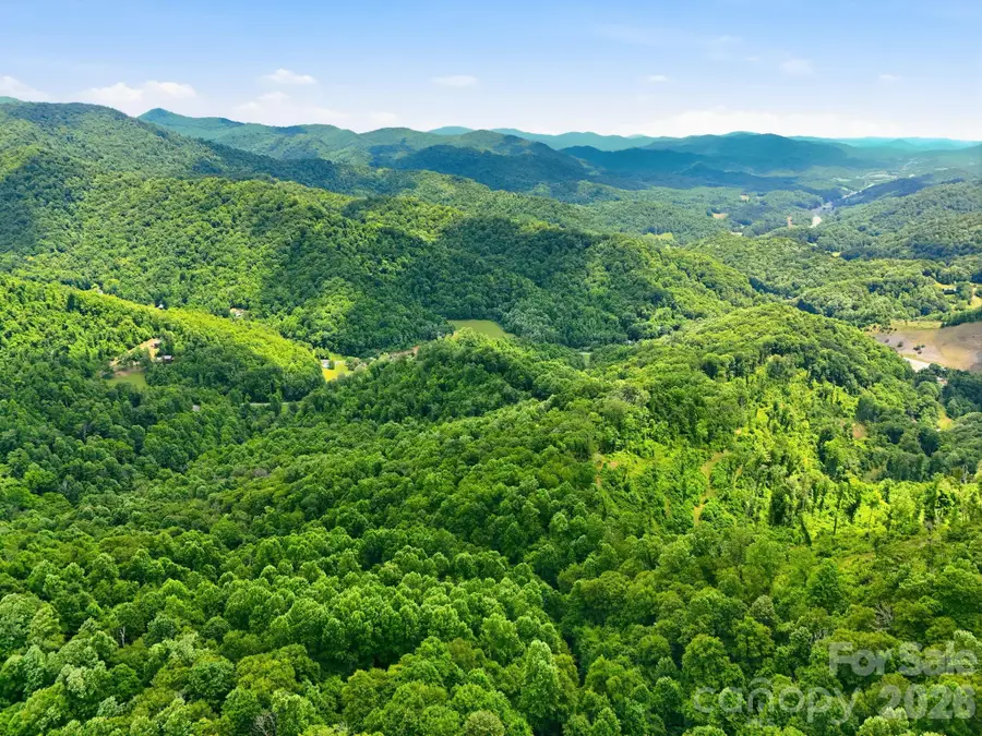 TBD Windy Gap Road #Tract B, Mars Hill, NC 28754 - #3