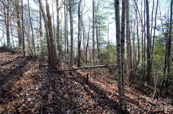 0 Wildwood Mountain Lane #8, Marion, NC 28752