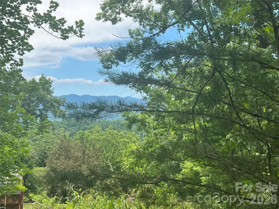 366 Dobsons Knob Loop #7, Marion, NC 28752 - #2