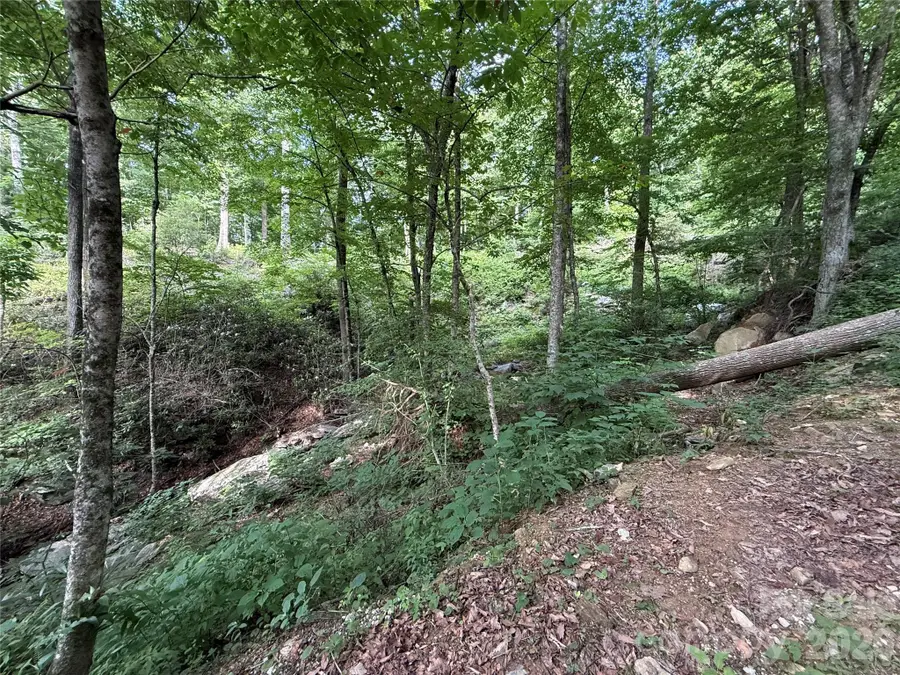 64 Clay View Drive, Fairview, NC 28730 - #3