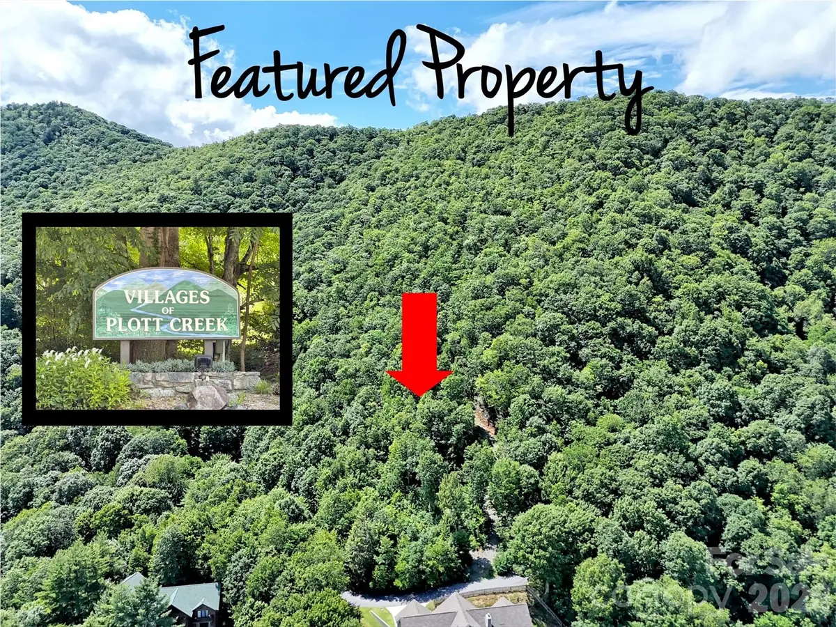 00 Rising Sun Road #338, Waynesville, NC 28786 - #1