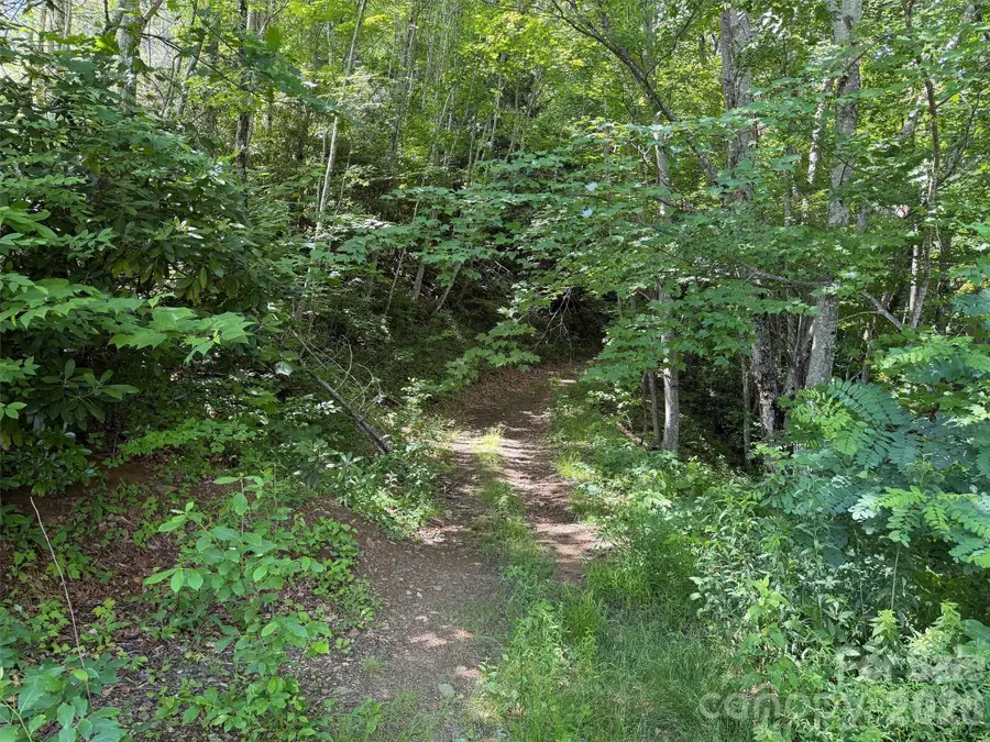 00 Rising Sun Road #338, Waynesville, NC 28786 - #2