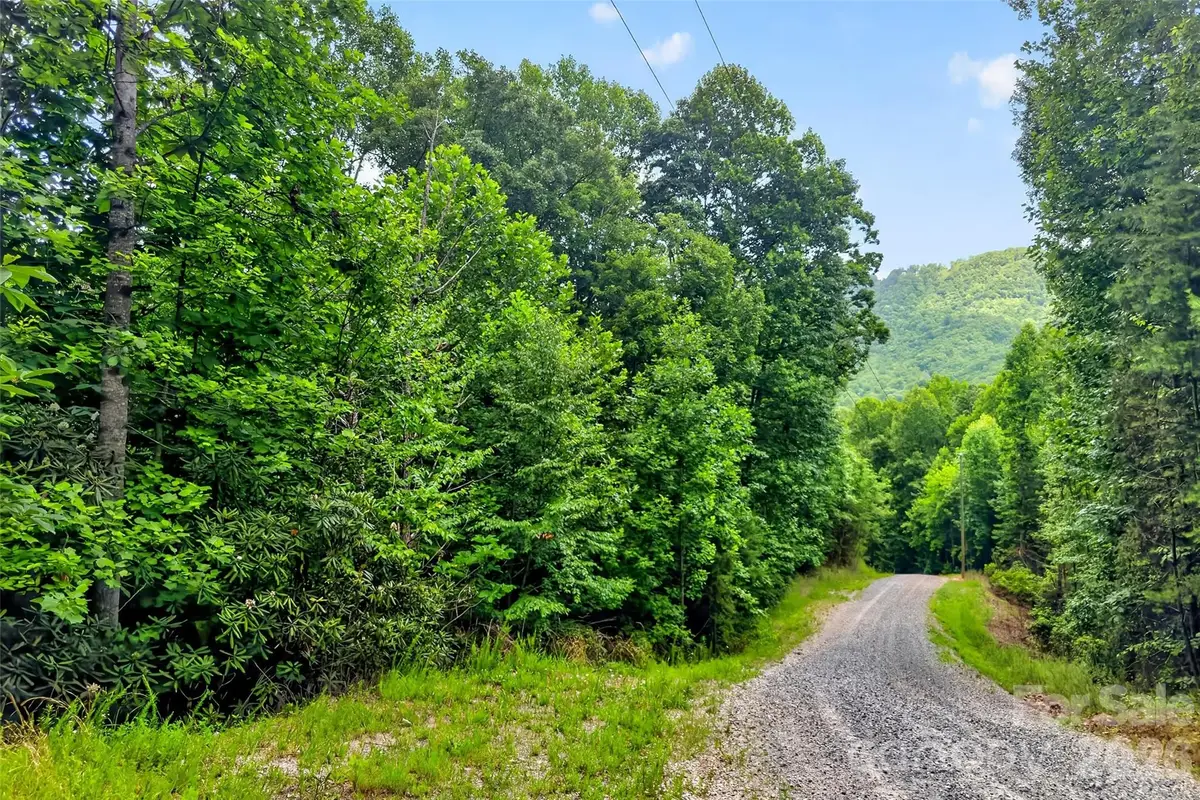 213 Mitchell View N #213MV, Old Fort, NC 28762 - #1