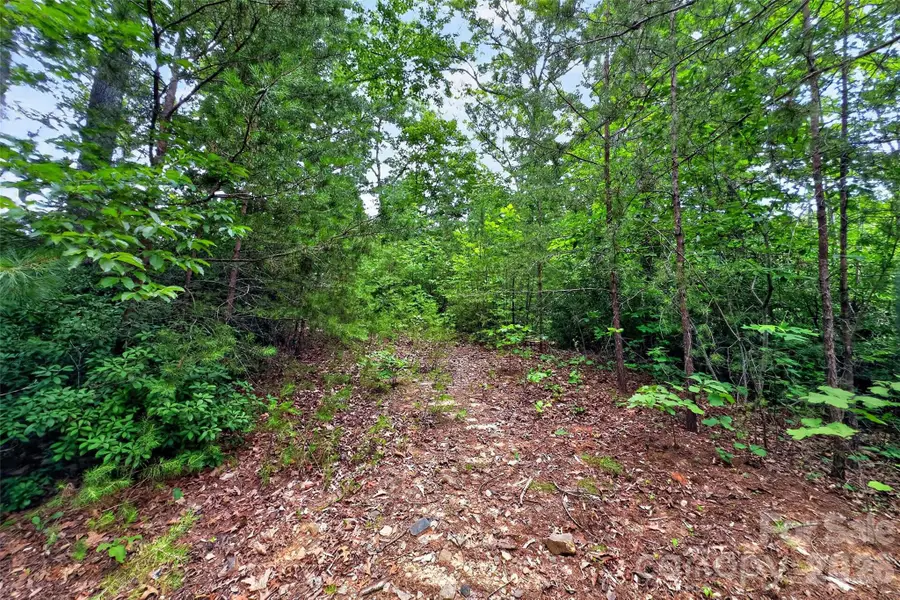 213 Mitchell View N #213MV, Old Fort, NC 28762 - #3