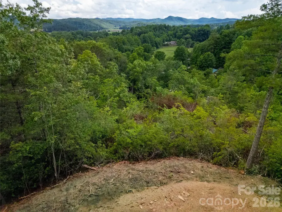 TBD Cherryfield Loop Road, Brevard, NC 28712 - #2