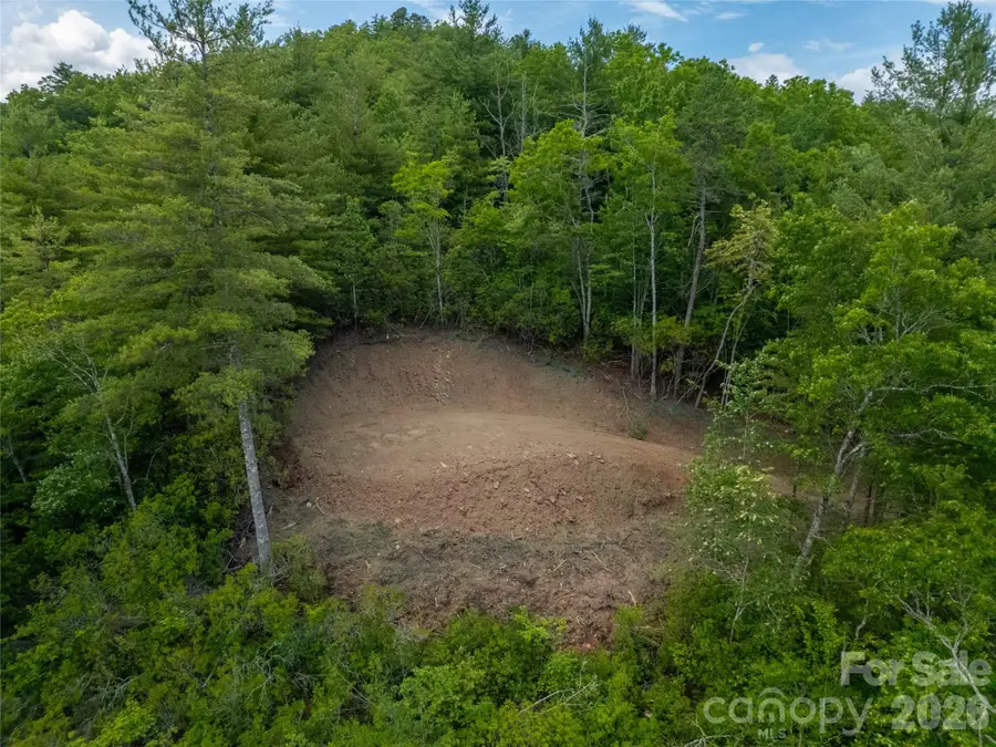 TBD Cherryfield Loop Road, Brevard, NC 28712 - #3