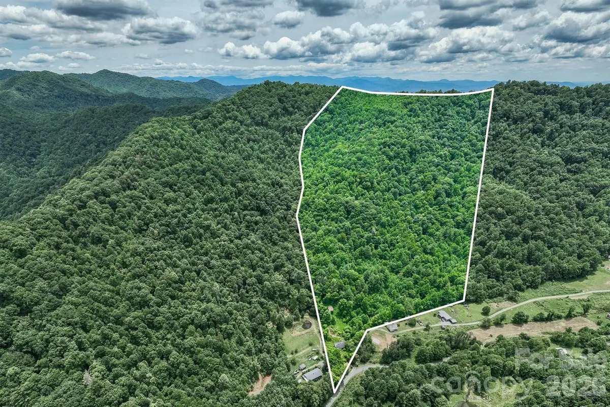 789 Jarrett Cove Road, Marshall, NC 28753 - #1