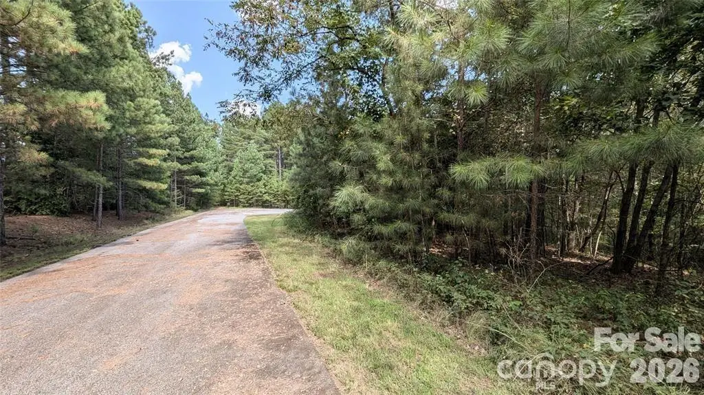14 Spring Hollow Road, Lake Lure, NC 28746 - #1