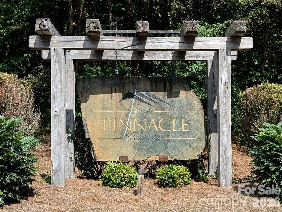 14 Spring Hollow Road, Lake Lure, NC 28746 - #3